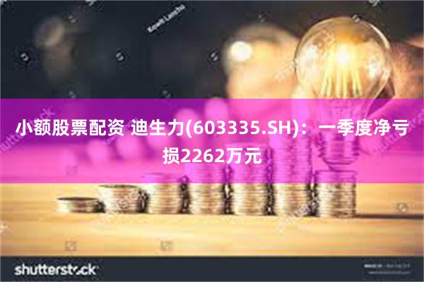 小额股票配资 迪生力(603335.SH)：一季度净亏损2262万元