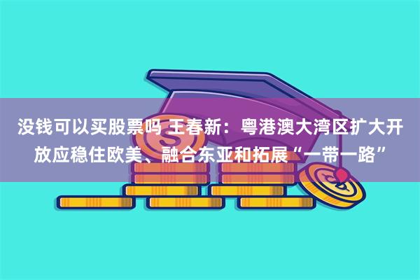 没钱可以买股票吗 王春新：粤港澳大湾区扩大开放应稳住欧美、融合东亚和拓展“一带一路”