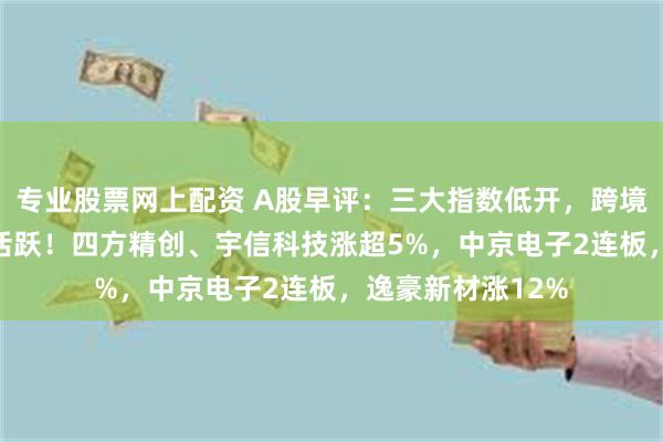 专业股票网上配资 A股早评：三大指数低开，跨境支付、PCB概念活跃！四方精创、宇信科技涨超5%，中京电子2连板，逸豪新材涨12%