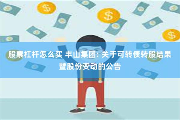 股票杠杆怎么买 丰山集团: 关于可转债转股结果暨股份变动的公告