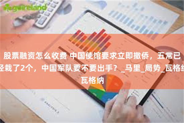 股票融资怎么收费 中国使馆要求立即撤侨，五常已经栽了2个，中国军队要不要出手？_马里_局势_瓦格纳