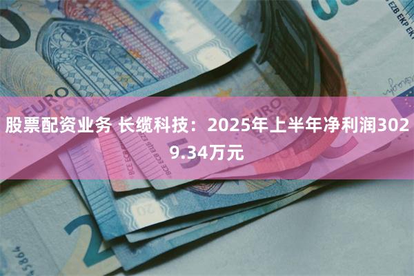 股票配资业务 长缆科技：2025年上半年净利润3029.34万元